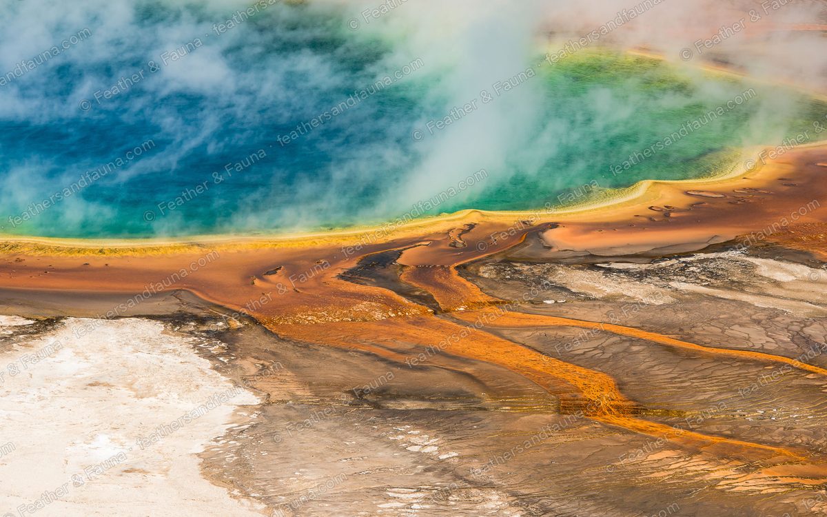 Aerial view of a blue hot spring rimmed with bands of orange, seen through drifting steam.