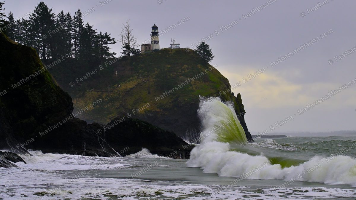 A backlit green wave curling below a clifftop lighthouse under a grey sky.