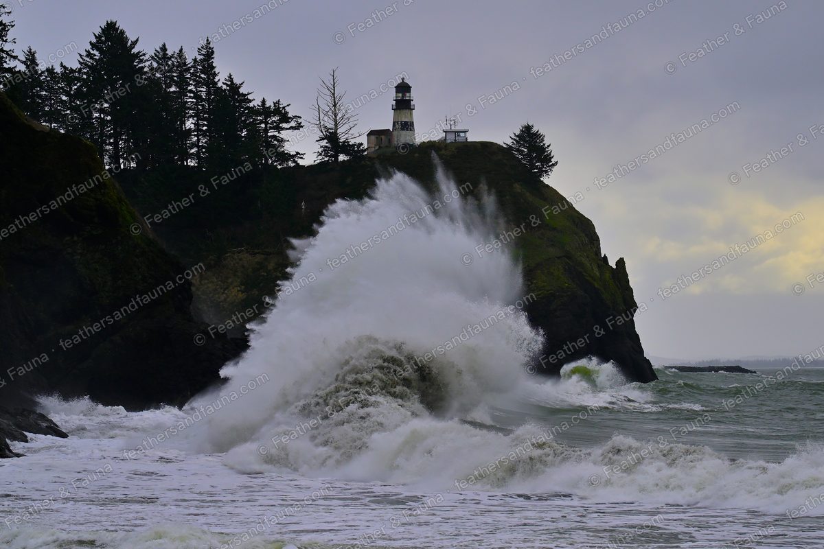 A wall of white surf breaking against a green headland below a lighthouse.